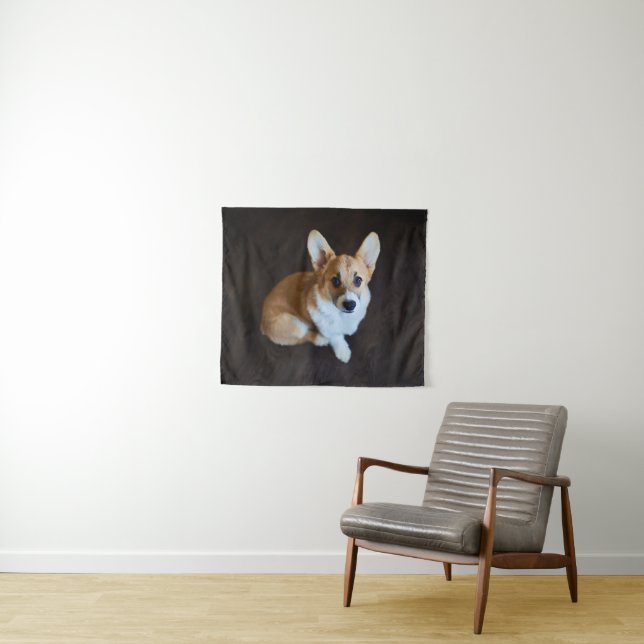 Tapete De Parede Bebês Mais Pobres | Corgi Procurando (In Situ (Horizontal))