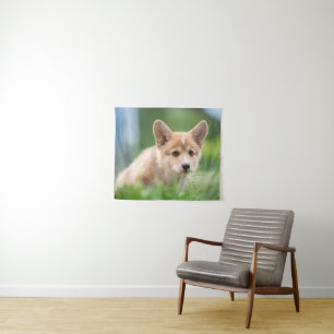 Tapete De Parede Bebês Mais Pobres Corgi Puppy no Yard