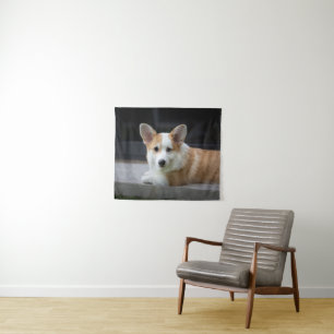 Tapete De Parede Bebês Mais Pobres   Relaxamento do Corgi Puppy