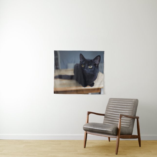Tapete De Parede Bebês Mais Pobres | Retrato de um Gato Negro (In Situ (Horizontal))