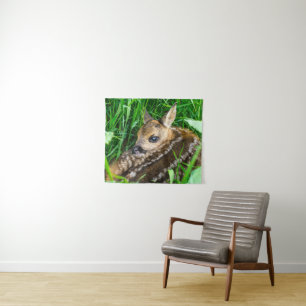Tapete De Parede Bebês Mais Pobres   Roe Deer Baby