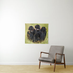 Tapete De Parede Bebês Mais Pobres Três Chimpanzés