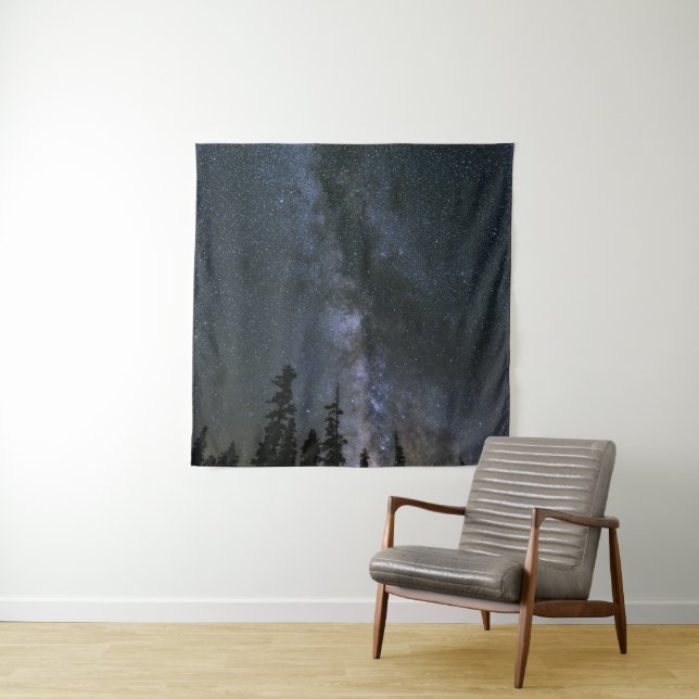 Tapete De Parede Bela Cosmos (In Situ)
