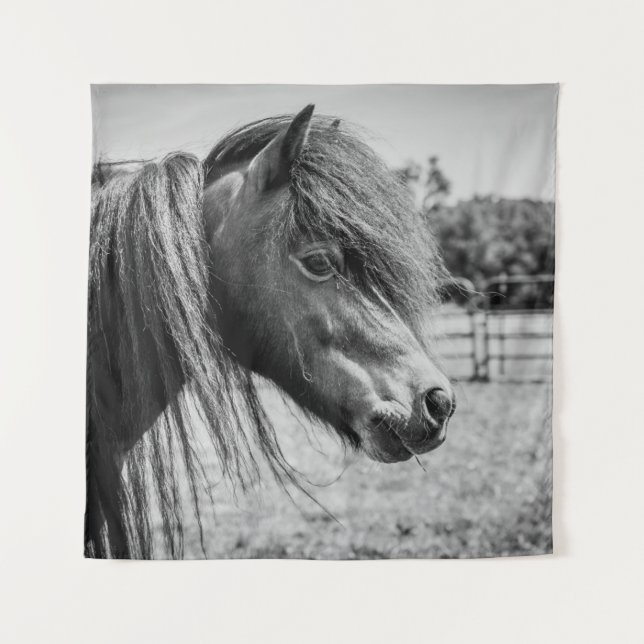 TAPETE DE PAREDE BELO CAVALO (Frente)