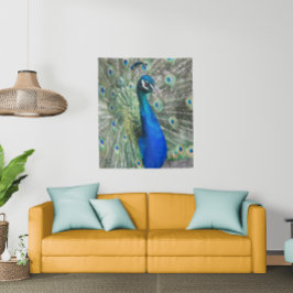 Tapete De Parede Belo Penas de Pavão Azul