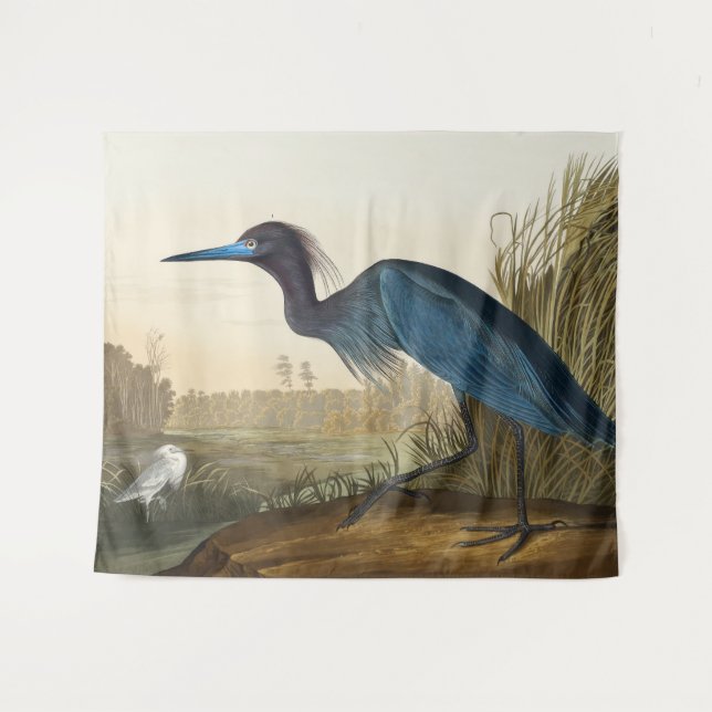 Tapete De Parede Blue Crane ou Heron, 1836, The Birds of America (Frente (Horizontal))