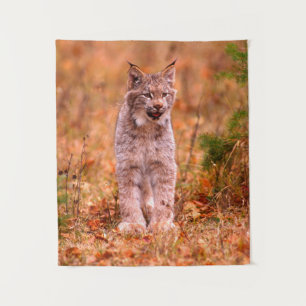 Tapete De Parede Caça do Lince Floresta de Outono
