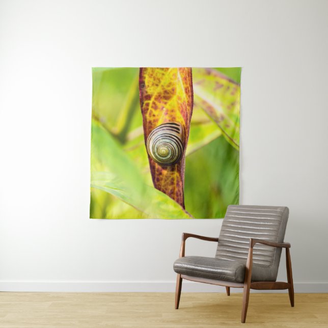 Tapete De Parede calma (In Situ)