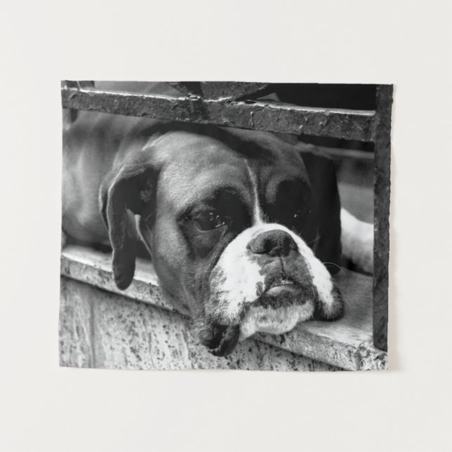 Tapete De Parede Cão-Boxer no Windowsill wtcnm (Frente (Horizontal))