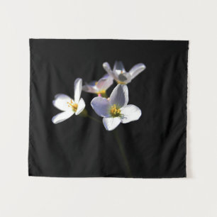 Tapete De Parede Cardamine Pratensis Flowers wt