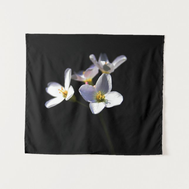 Tapete De Parede Cardamine Pratensis Flowers wt (Frente (Horizontal))