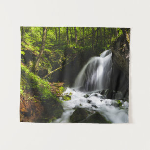 Tapete De Parede Cascata mágica em floresta verde encantadora