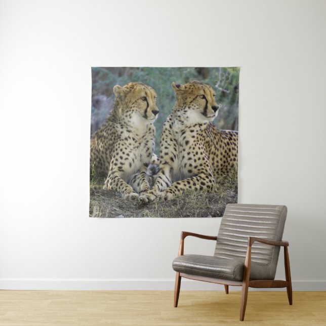 Tapete De Parede Cheetah (In Situ)