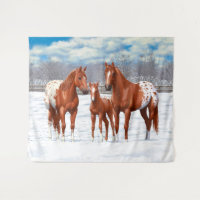 Chestnut Appaloosa Sorrel Quarter Hores em Neve