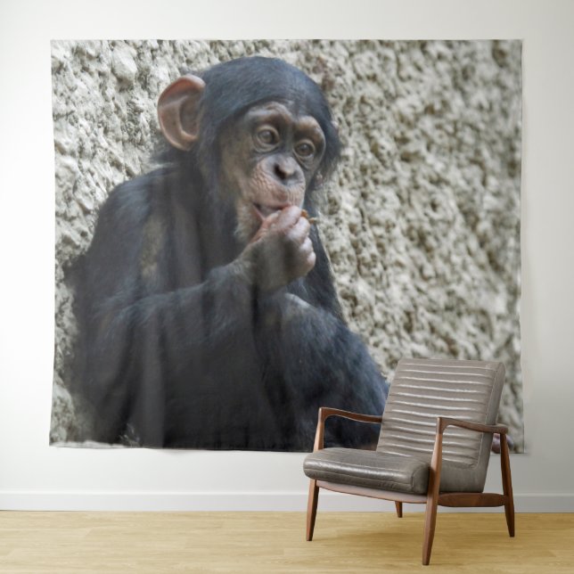 Tapete De Parede Chimpanzé 013 (In Situ (Horizontal))