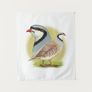 Tapete De Parede Chukar Partridge Combo