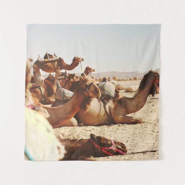 TAPETE DE PAREDE CINCO CAMELOS NO CAMPO (Frente)