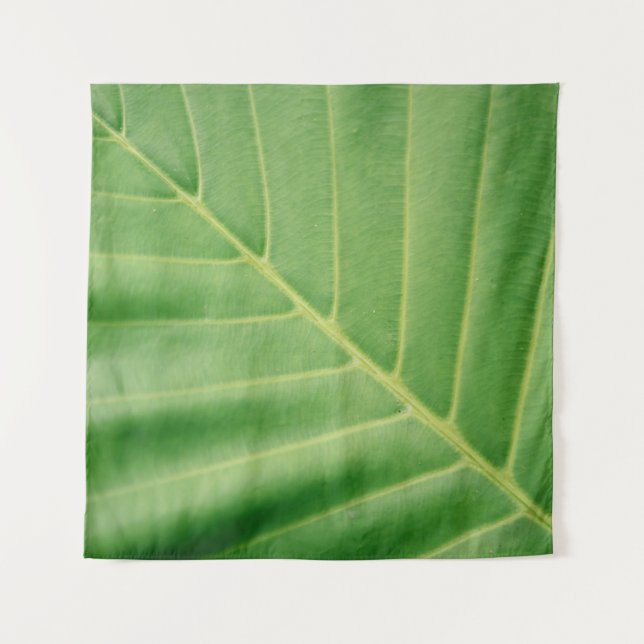 Tapete De Parede Close up photo of green leaf (Frente)