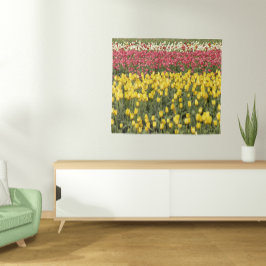 Tapete De Parede Colorida Tulip Blooms Floral