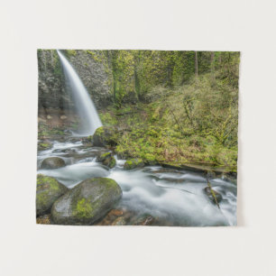 Tapete De Parede Columbia River Gorge, Ponytail Falls