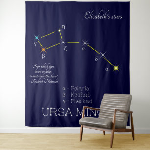 Tapete De Parede Constelação do Hemisfério Norte Ursa Menor