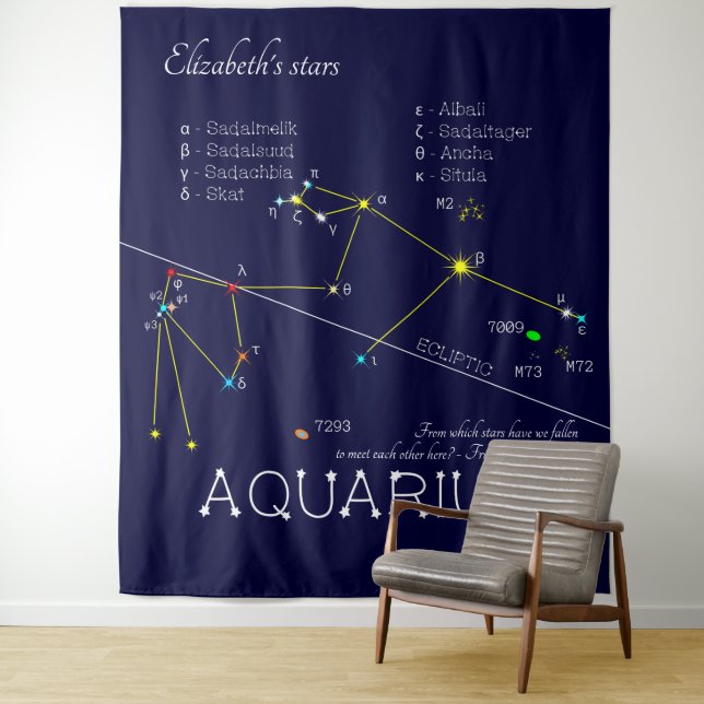 Tapete De Parede Constelação do Zodíaco Aquário (In Situ)