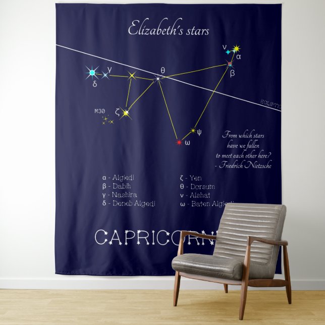 Tapete De Parede Constelação Zodiacal Capricórnio (In Situ)