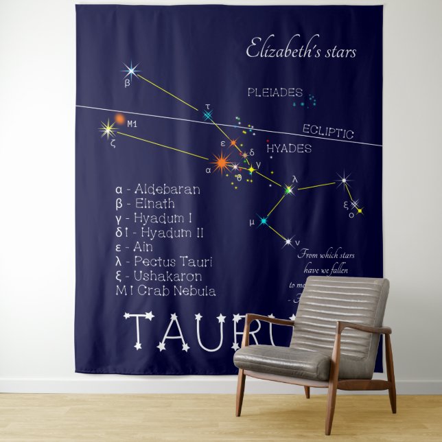 Tapete De Parede Constelação Zodiacal Touro (In Situ)