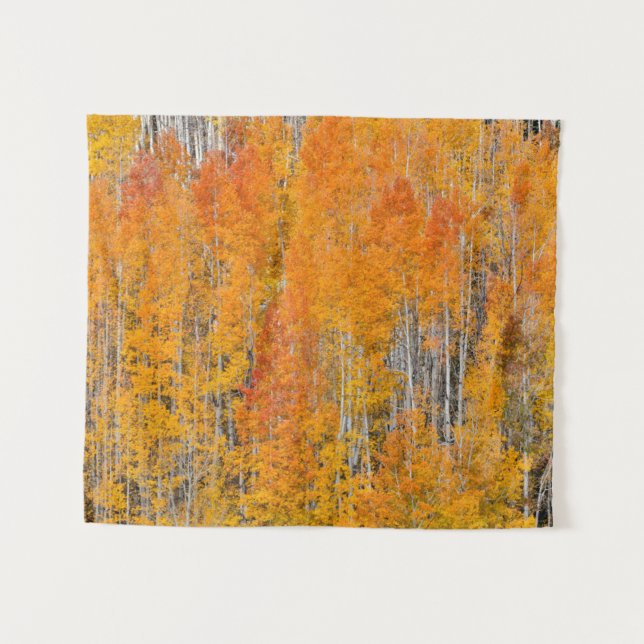 Tapete De Parede Cores de Outono em Bosques de Álamo (Frente (Horizontal))