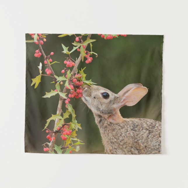 Tapete De Parede Cottontail oriental | Sul do Texas (Frente (Horizontal))