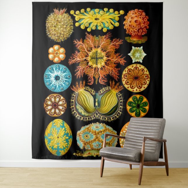 Tapete De Parede criaturas do mar da vida marinha impressão (In Situ)