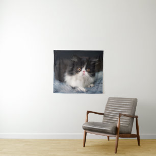 Tapete De Parede Cutest Baby Animals Fluffy B&W Kitten