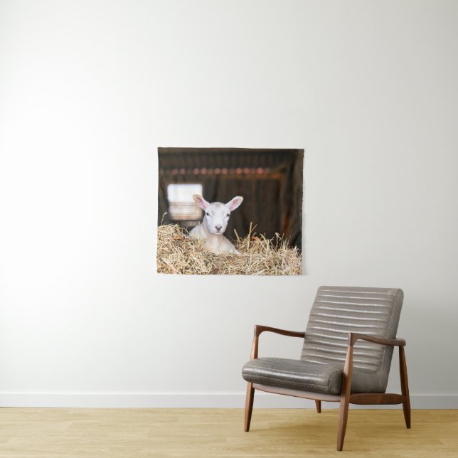Tapete De Parede Cutest Baby Animals | Newborn Lamb (In Situ (Horizontal))