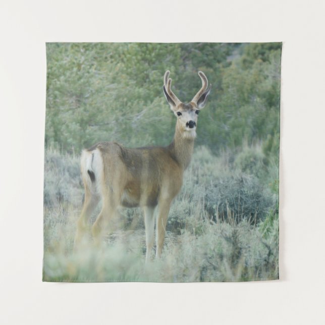 Tapete De Parede Deer (Frente)