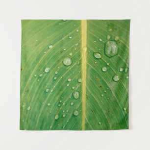 Tapete De Parede Dewdrop em planta verde folheada
