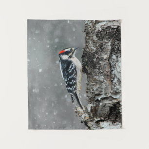 Tapete De Parede Downy Woodpecker em Neve - Foto Original