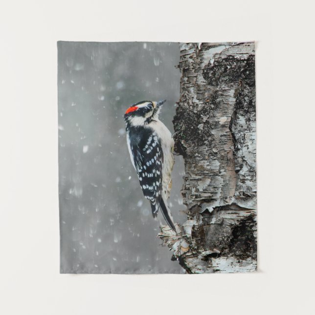Tapete De Parede Downy Woodpecker em Neve - Foto Original (Frente)