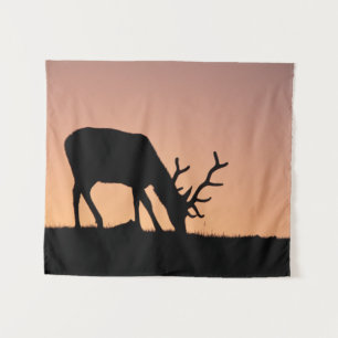 Tapete De Parede Elk Rocky Mountain National Park, Colorado