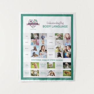 Tapete De Parede Entendendo a estrutura de idioma do corpo do cão