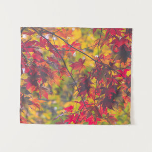 Tapete De Parede Fall Foliage Trees Nature PEQUENO