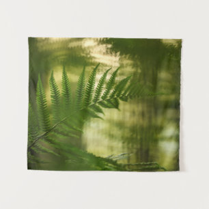 Tapete De Parede Fern Nature Photo