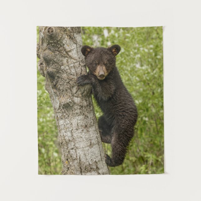 Tapete De Parede Filhote de Urso Negro na Árvore (Frente)