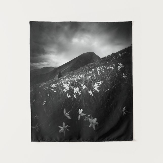 Tapete De Parede Flores brancas narcisas na escuridão (Frente)