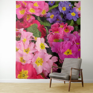 Tapete De Parede Flores de Primula Azul Púrpura Cor-de-Rosa Colori