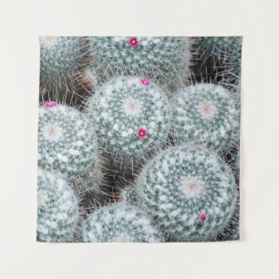 Tapete De Parede Flores Rosa Pequenas Plantas De Cactus