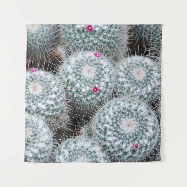 Tapete De Parede Flores Rosa Pequenas Plantas De Cactus (Frente)