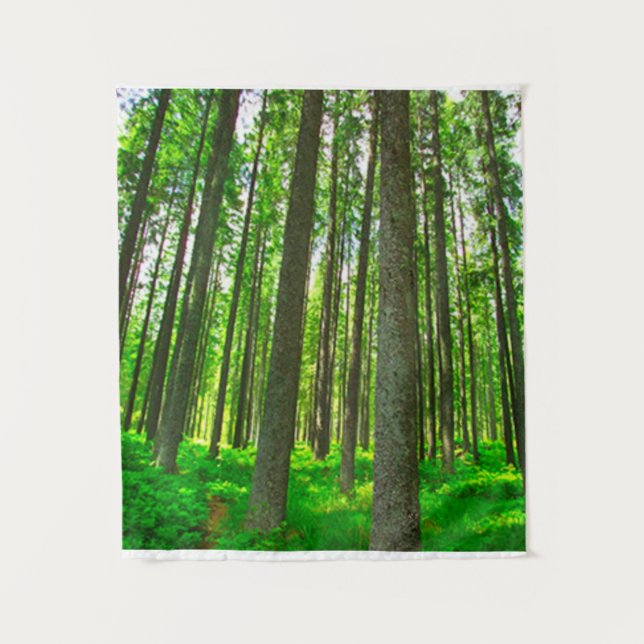 Tapete De Parede Floresta (Frente)