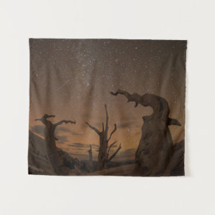 Tapete De Parede Floresta Antiga de Pinheiros Bristlecone Califór