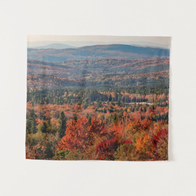 Tapete De Parede Floresta Nacional das Montanhas Brancas | Nova Ham (Frente (Horizontal))