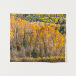 Tapete De Parede Floresta Nacional de Gunnison